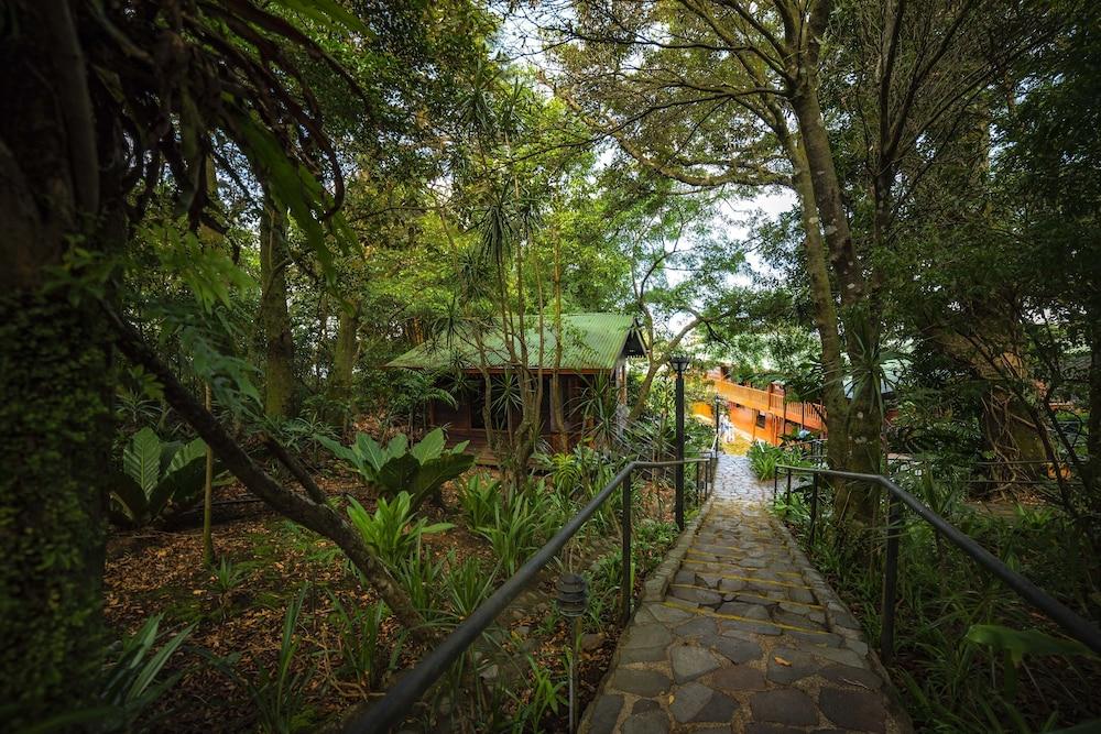 Hotel Heliconia - Monteverde Eksteriør billede